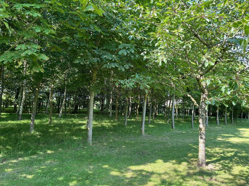 House with garden ideal for photo shoot located in the northern region of FRANCE