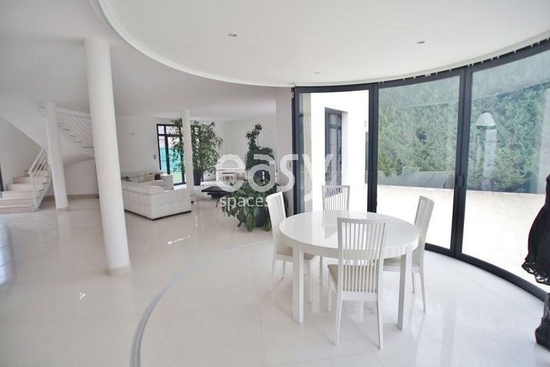 photo shoot set decoration in the vibrant and artistic city of Paris