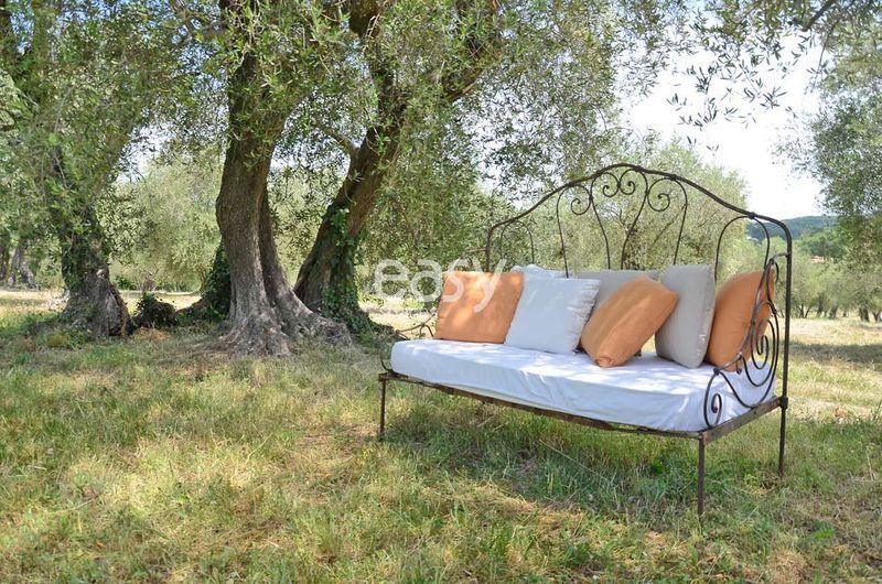 rustic countryside setting with natural elements for a photo shoot session