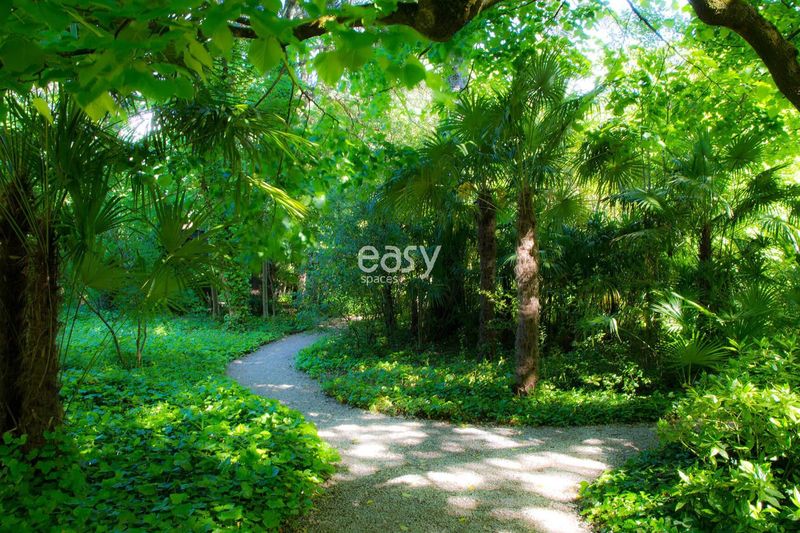 natural scenic environment featuring untouched nature and landscape