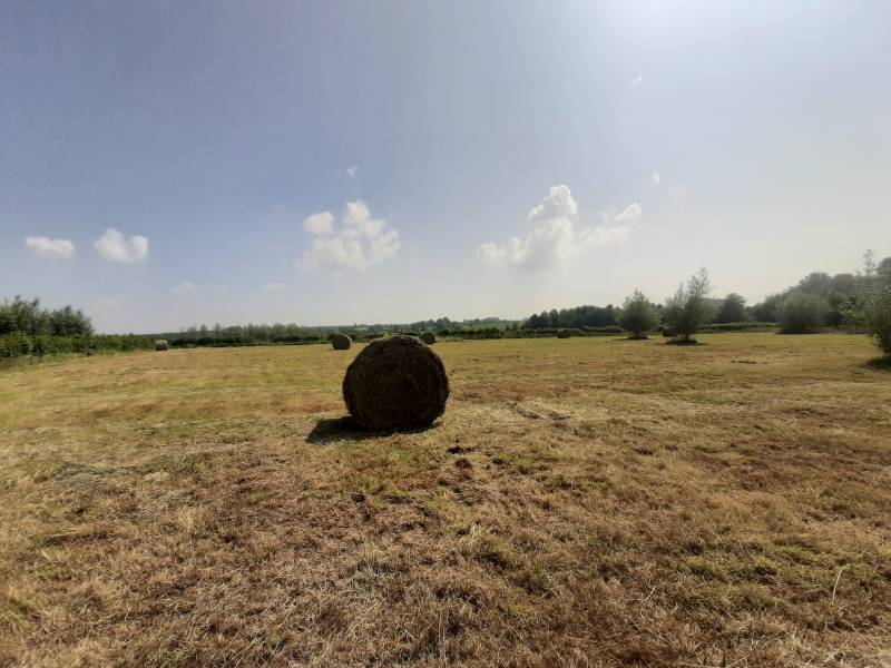 Rental decoration service available in the northern region of France, specifically catered for various events and needs