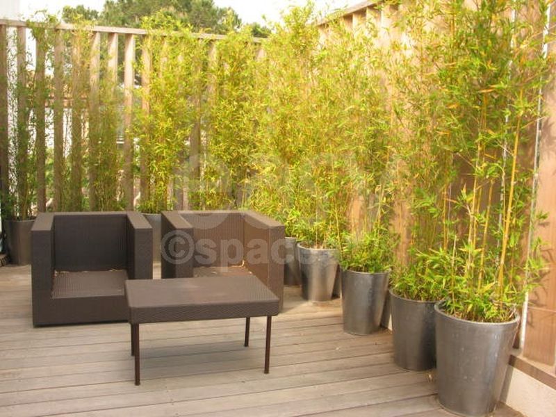 contemporary architectural house perfectly designed for professional photo shoots in saint tropez