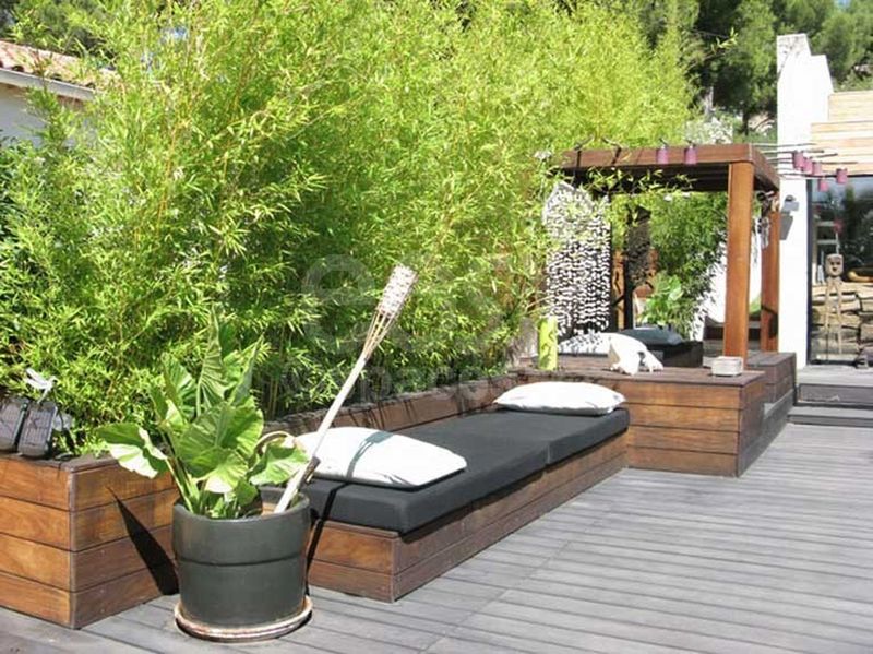 wooden terrace with bamboo plants surrounding an architect-designed house and beautiful swimming pool in Marseille