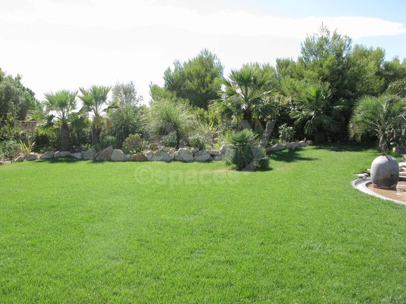 rental of filming locations and photo production sites specifically in the scenic area of Saint Tropez