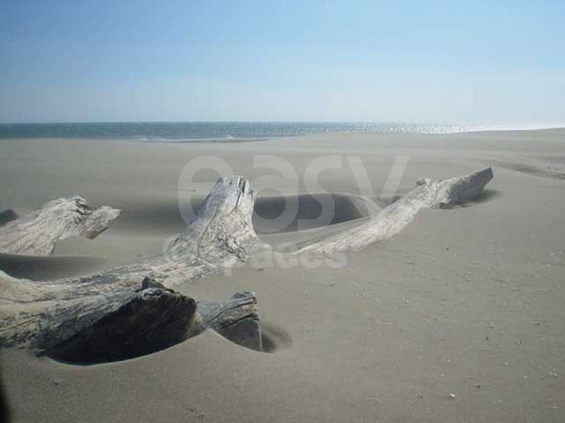 Beach scouting locations for professional photoshoot sessions in the beautiful southern region of France