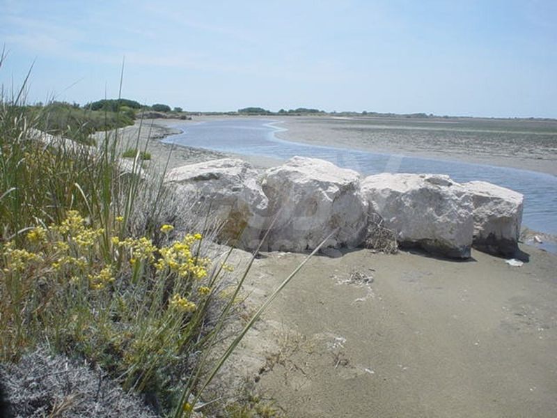 Location scouting activities for both cinema and television productions in the Camargue region near Arles in Bouches-du-Rhône department