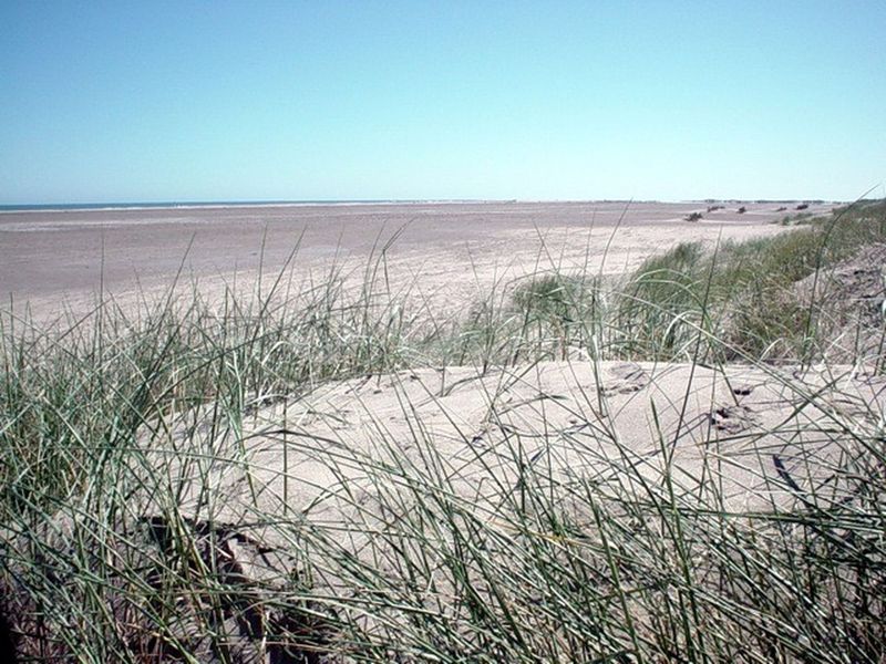 photos of location scouting of wild beaches and dunes in the Camargue region of southern France