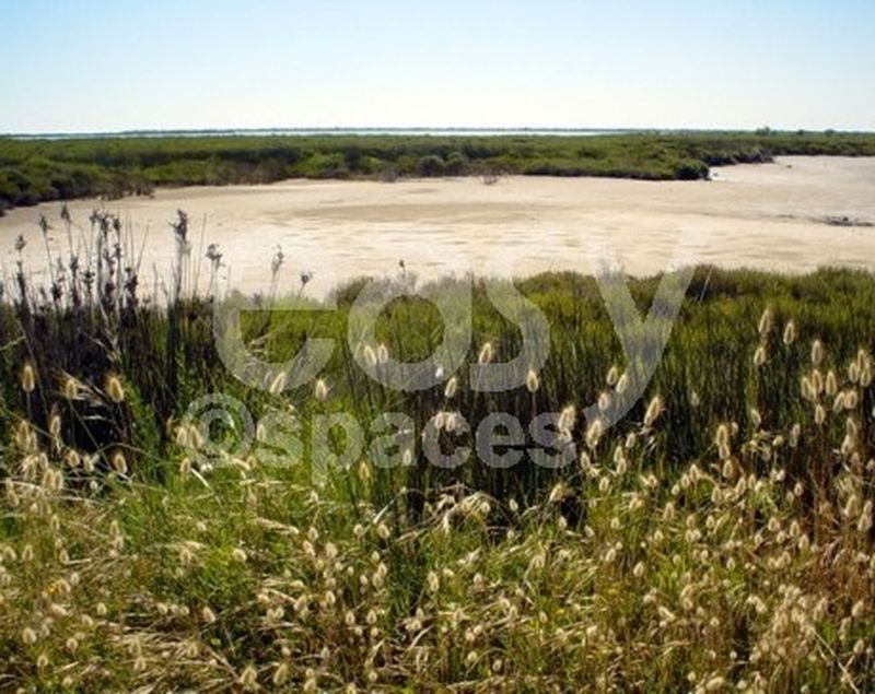 Location scouting and natural scenery of the scenic and diverse southern regions of France including Camargue, Arles, and Marseille