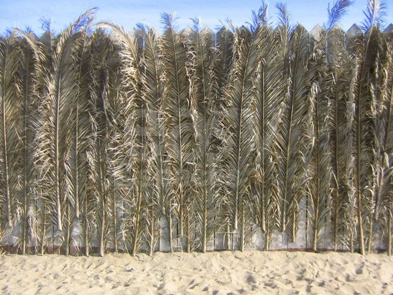 Comprehensive and Exclusive Photo Locations and Private Beach Filming Opportunities Between Toulon and Saint-Tropez