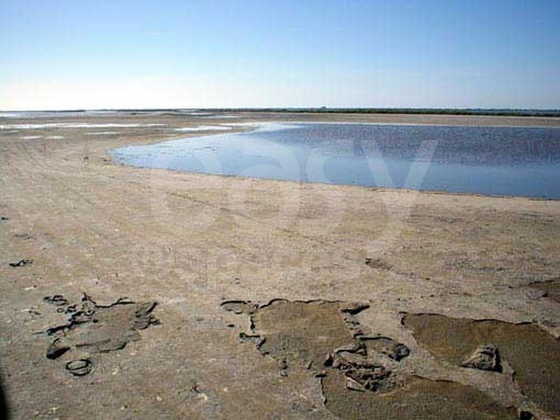 agency specialized in natural locations and scenic settings in the Camargue Arles 13 region for film and photography projects