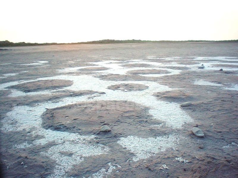 Salt desert and natural landscapes ideal for film production and photo shoots in Camargue near Marseille and Aix en Provence