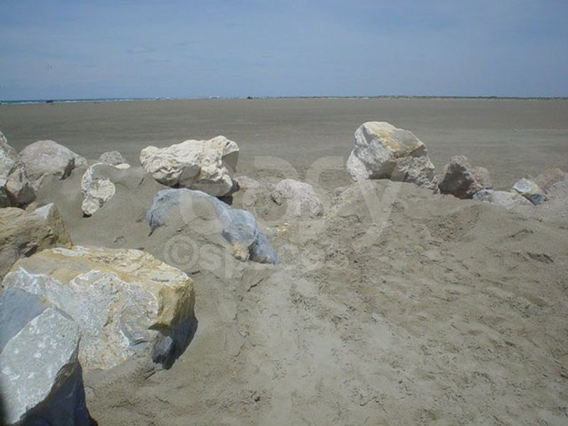 Location scouting and set design for the filming of movies, music videos, and photo shoots in the Camargue region with beautiful landscapes