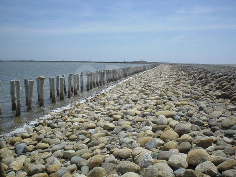 Scouting and Locating Natural Settings for Photoshoots and Film Productions in Marseille, Camargue, Nice, and Saint-Tropez