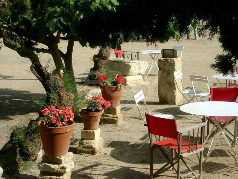 rental of a charming house with a beautifully flowered terrace suitable for thematic meetings in the picturesque southern region of France known as the Camargue