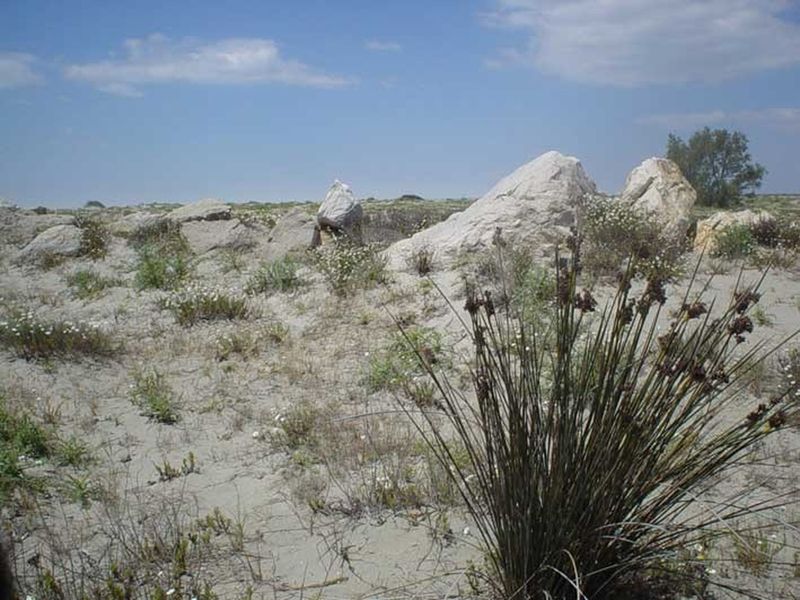 Various scenic beach scouting locations in the picturesque southern region of France, including Camargue, Arles, and Marseille
