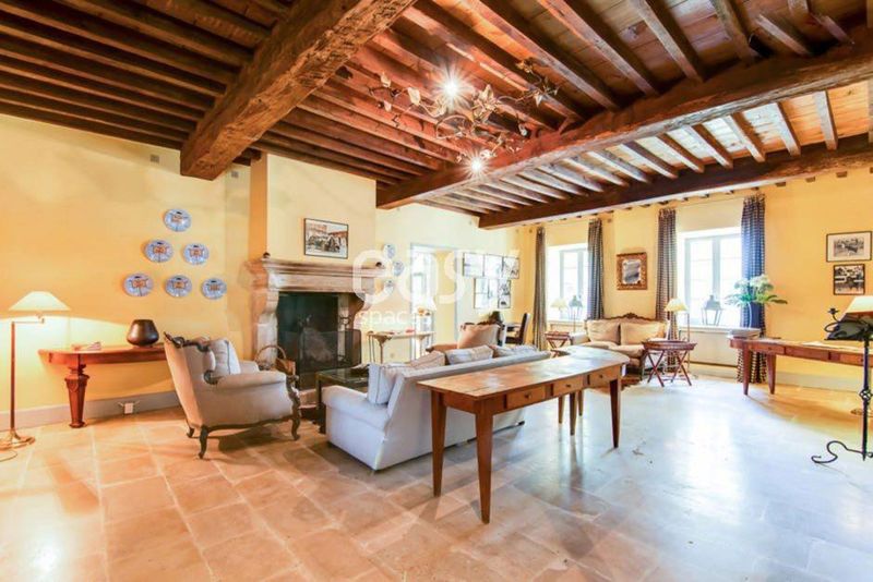 Scenic and Authentic Decorative Background Specifically Designed for Camargue Photo Shoots and Filming Sessions