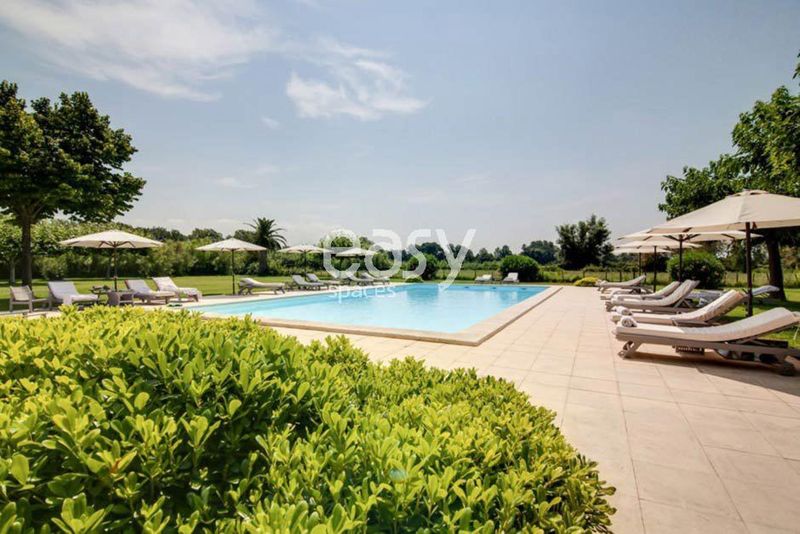 photo production activities taking place extensively in the Camargue region