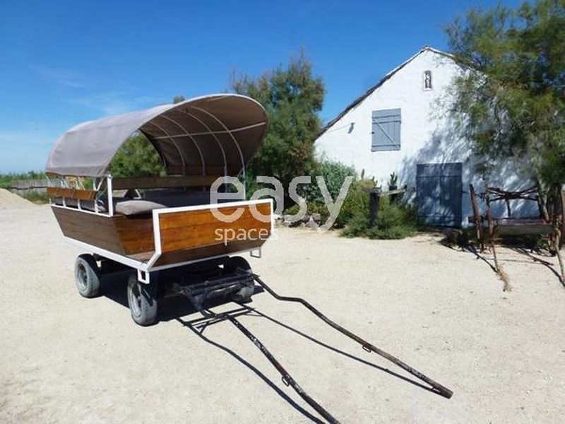 rent a traditional Camargue farmhouse especially suitable for professional photo shoots