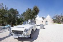 Our services in the sector of East of France