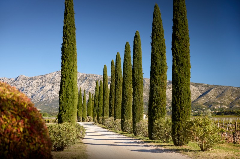 event venue in the vineyards